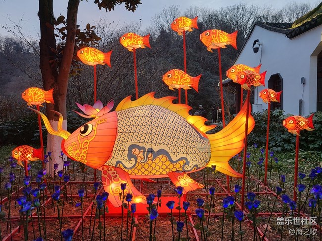 【冬日温暖瞬间】家庭游玩