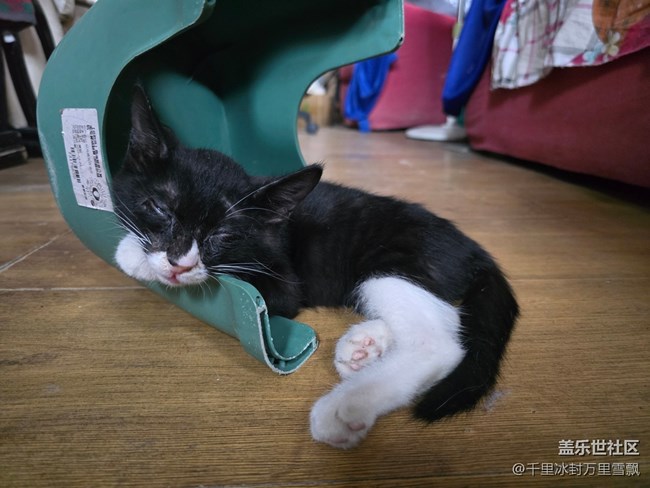 【新年到】悠闲自得