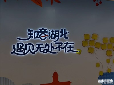 【回家路上】+从上海到湖北