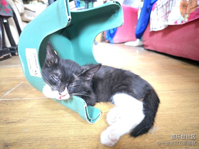 【新年到】悠闲自得