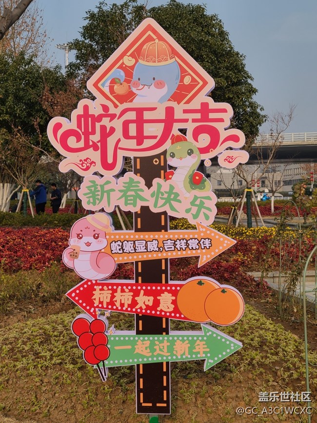 【2025你好】喜迎2025