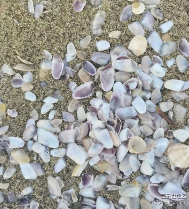 【2025你好】海滩