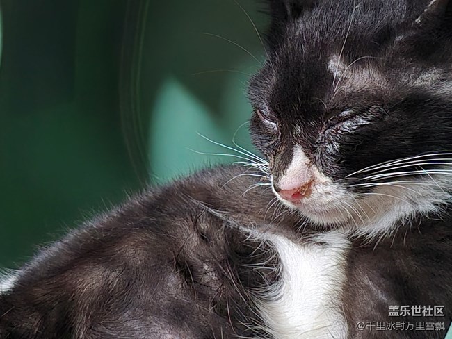 【新年到】悠闲自得