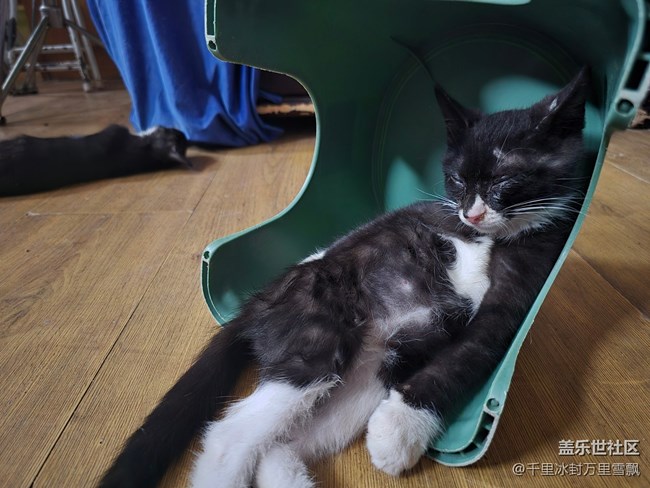 【新年到】悠闲自得