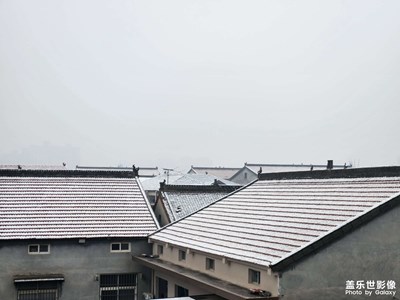 【回家路上】+故乡年味