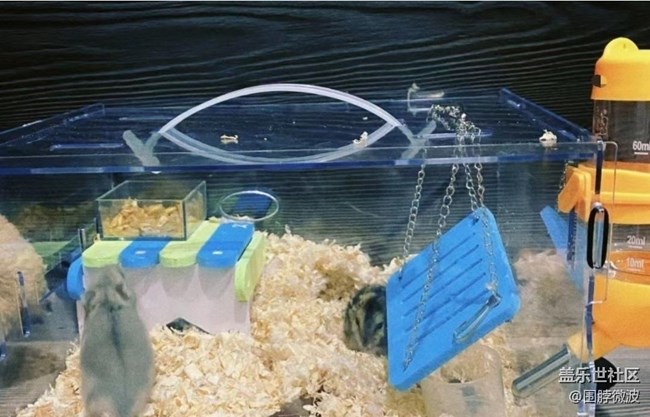 【2025你好】日常生活