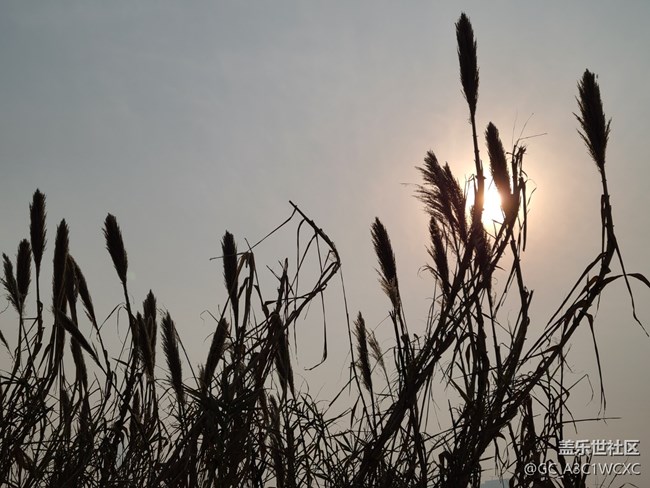 【2025你好】喜迎2025