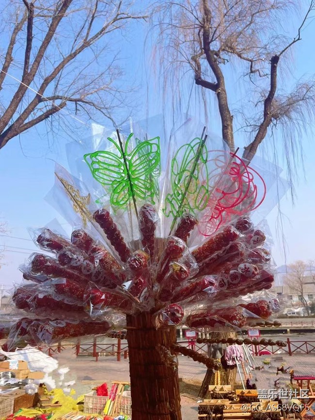 【年味】集市