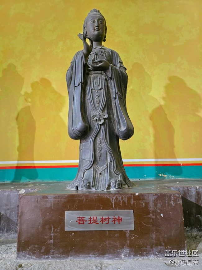 【新年到】许愿佛祖保佑你我