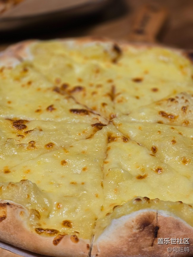 厦门星部落1月19号夕加线下摄影活动