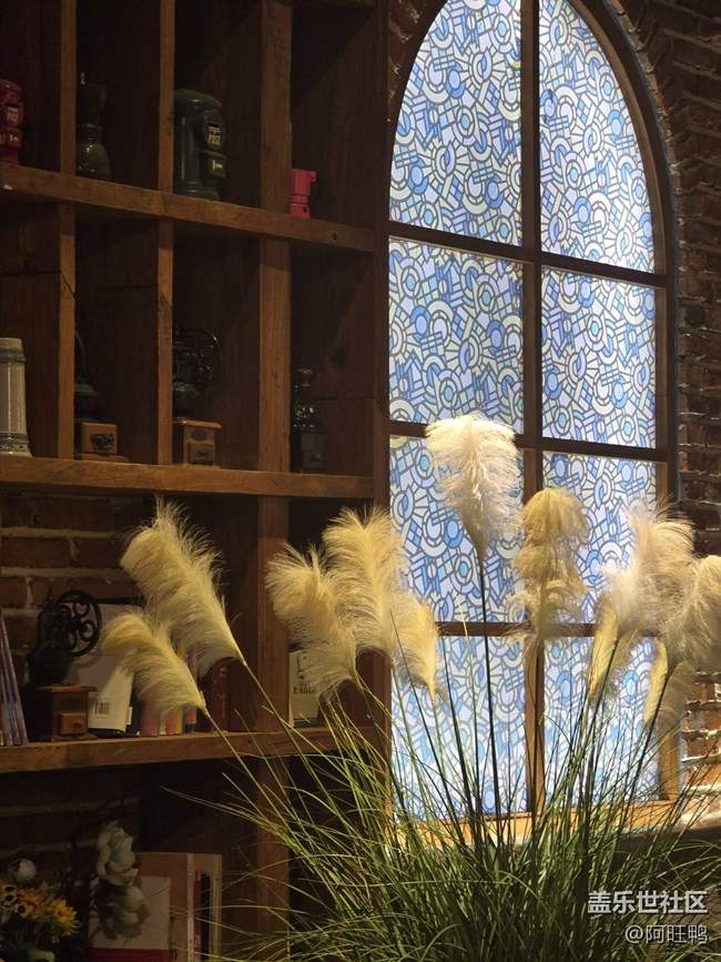 厦门星部落1月19号夕加线下摄影活动