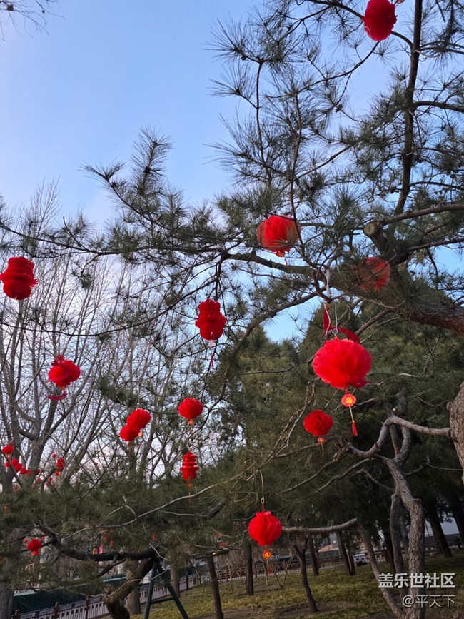 【新年到】大大小小红灯笼