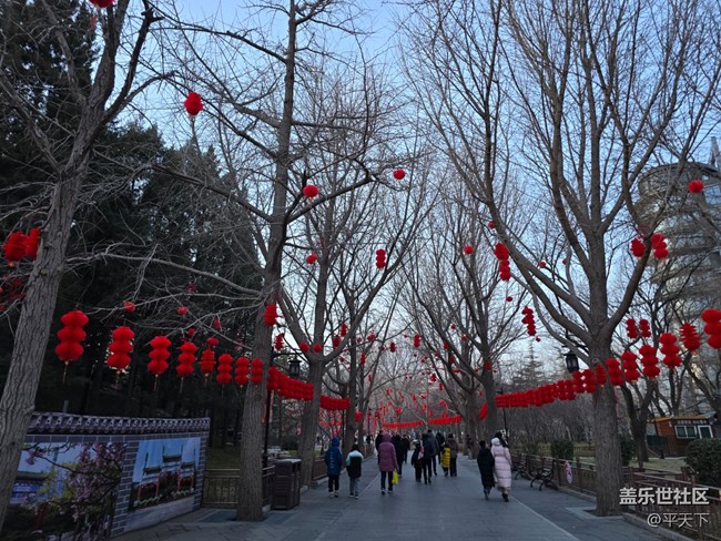 【新年到】远看都是福