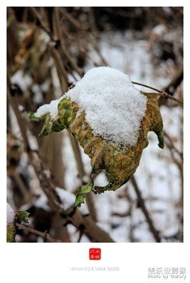 大雪中……
