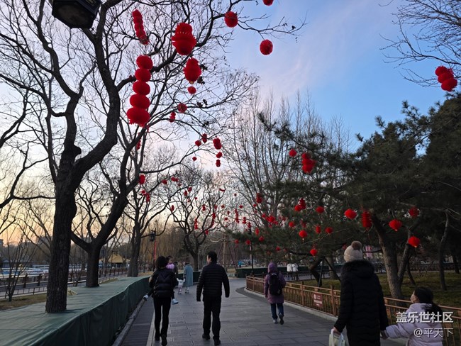 【新年到】大大小小红灯笼