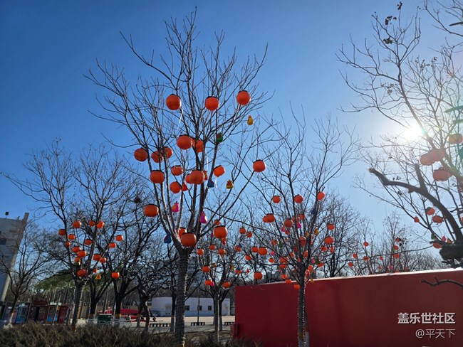 【新年到】飞越中国