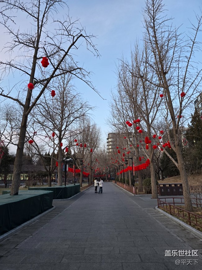 【新年到】大大小小红灯笼