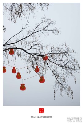 第一场雪