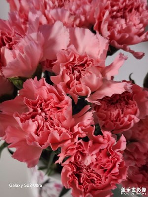 春节趣事 新春快乐