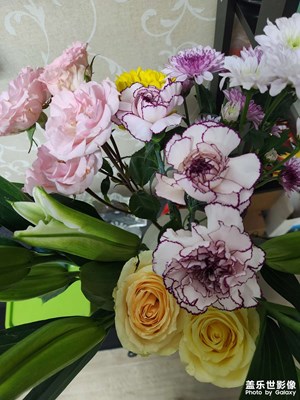 【金蛇转运来】鲜花带好运