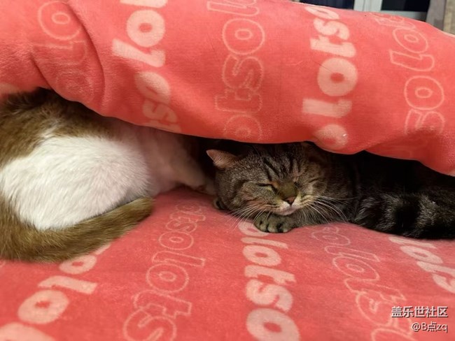 【身边的年味】