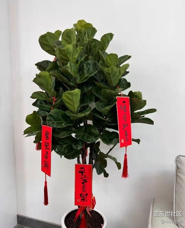 【我家乡的春节】新年住新房