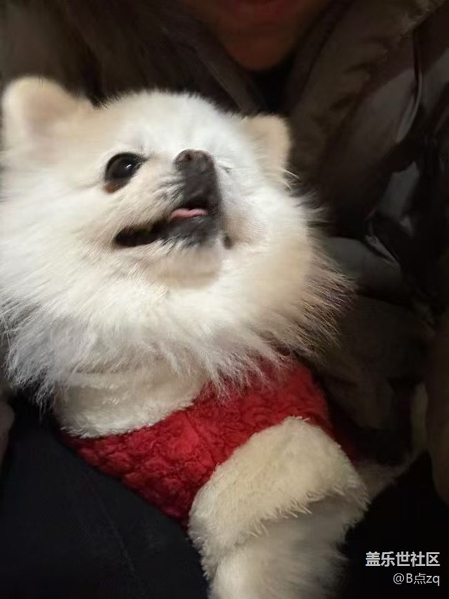 【身边的年味】