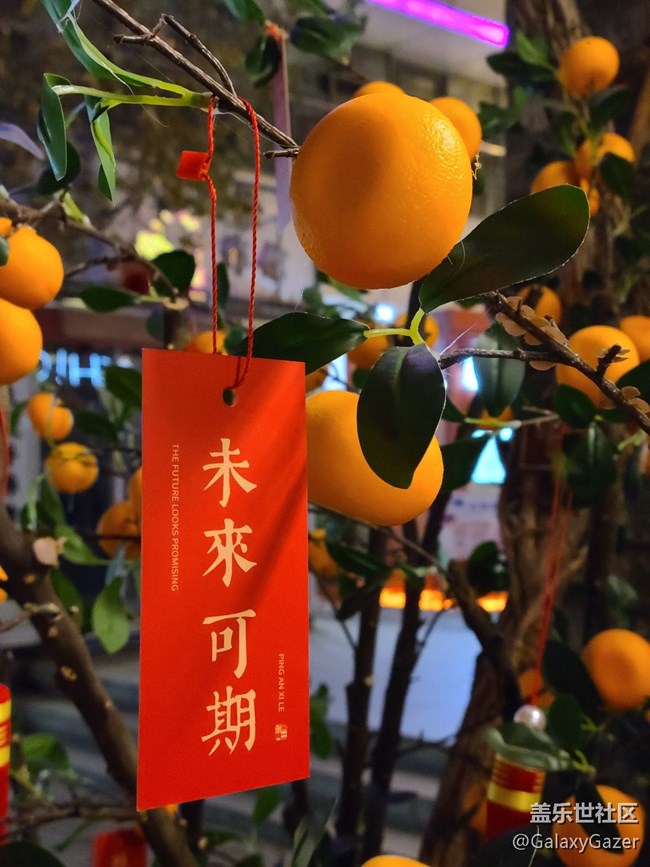 【冬日下的年味】新春大吉