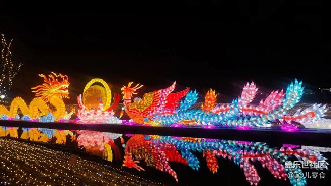 【我家乡的春节】逛灯会