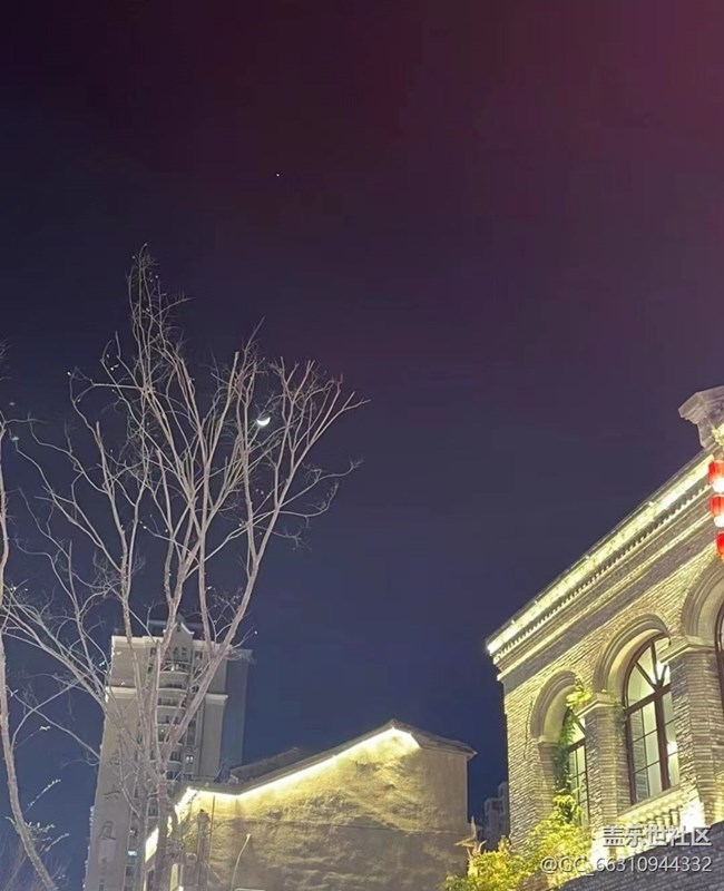 【我家乡的春节】青蛙王子