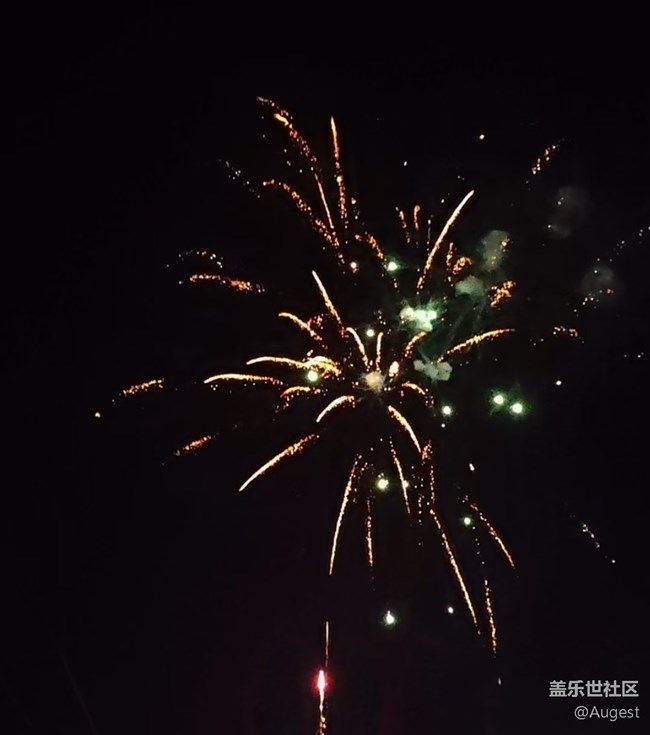 【迎新春，话准备 】烟花