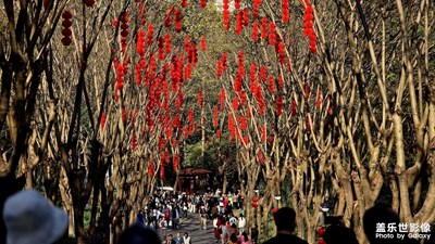 “年”的色彩