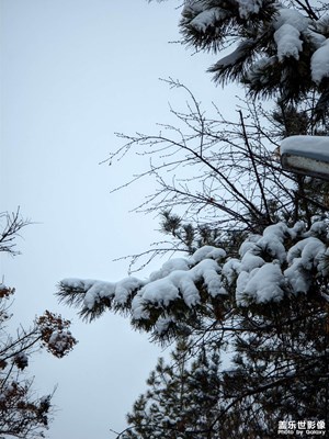 【春节趣事】+ 雪天压马路