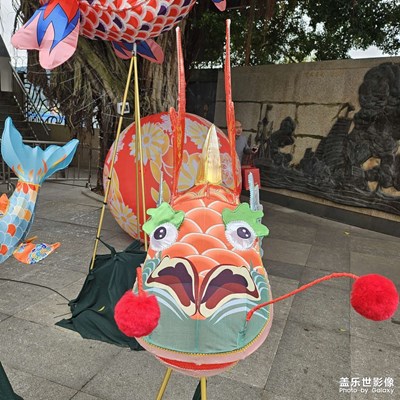 【金蛇转好运 】 处处鱼龙舞