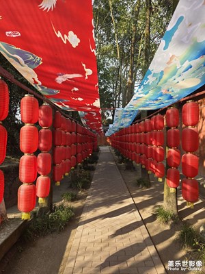 【春节趣事】+中国德孝城孝泉镇
