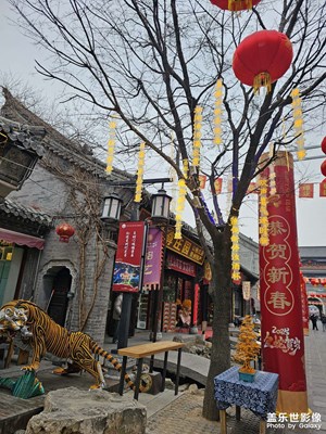 【金蛇转好运】春节快乐
