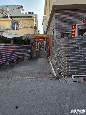【金蛇转好运】+回家拜年