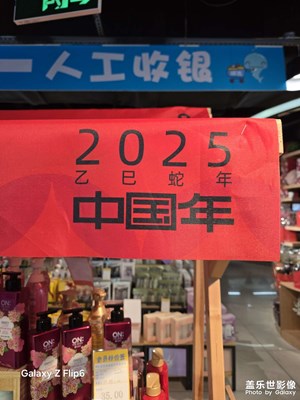 【金蛇转好运】喜庆的超市