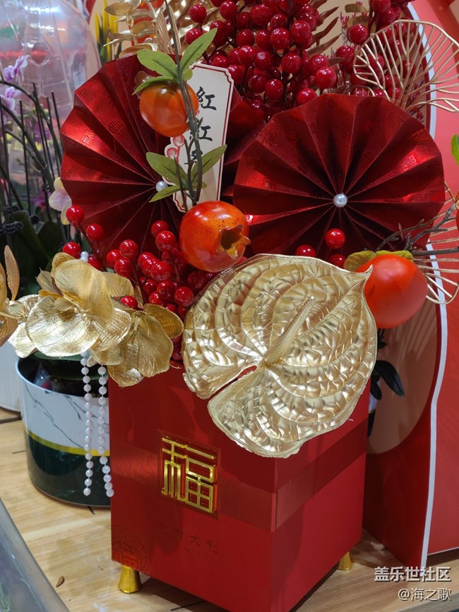【我家乡的春节】过春节