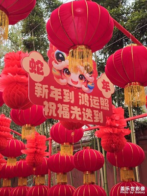 【金蛇转好运】+春游房湖雒城