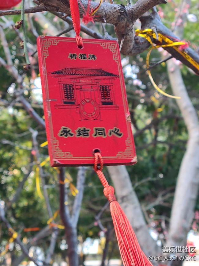 【我家乡的春节】春节祈福