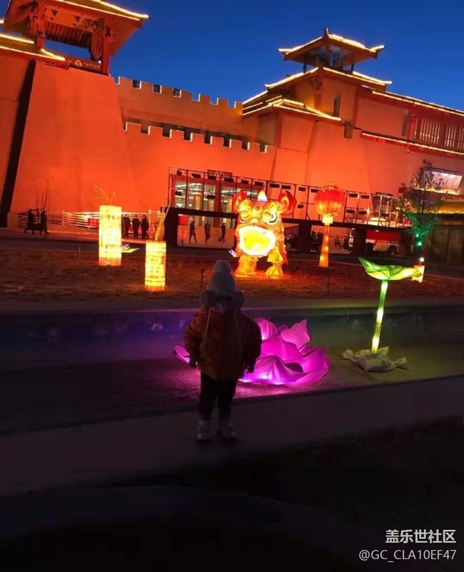 【春节行迹】新年赏灯