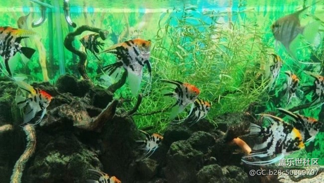 【春节行迹】海洋馆走走