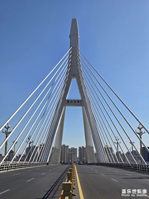 【返程路上】桥上的风景