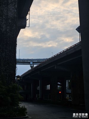 【返程路上】钢筋与藤蔓