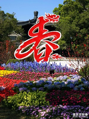 【金蛇转好运】花城迎春
