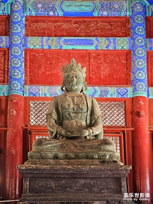 【金蛇转好运】+庄严与宁静