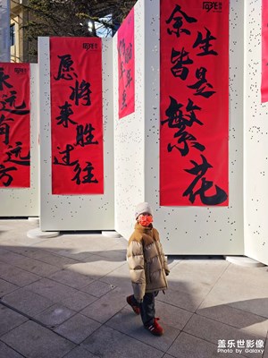 【金蛇转好运】+福启新岁