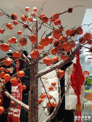 【金蛇转好运】+新年购物街奇遇