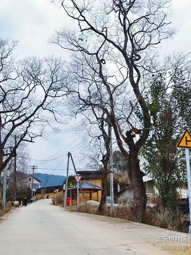 【春节行迹】回村